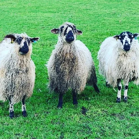 Ingleside By Together Travel - Charming Countryside Retreat